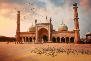 Da Delhi: tour del Triangolo d'Oro di 6 giorni con Udaipur - 4 città