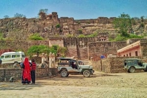 Desde Delhi : 6 Días Delhi, Jaipur, Agra y Ranthambore en Coche