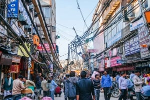 Desde Delhi: Excursión de 6 días al Triángulo de Oro con Ranthambore