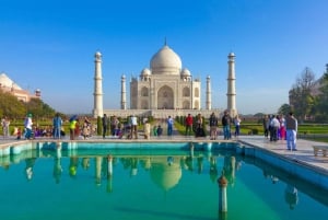 Desde Delhi: Excursión de 6 días al Triángulo de Oro con Ranthambore