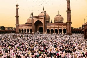 Desde Delhi: Excursión de 6 días al Triángulo de Oro con Ranthambore