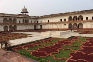 From Delhi: Golden Triangle & Jodhpur 6-Day Private Tour