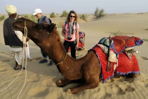 De Deli: Tour particular de 7 dias pelo Triângulo Dourado e Udaipur