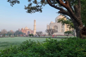 De Delhi: excursão de 7 dias pelo triângulo dourado com Ranthambore