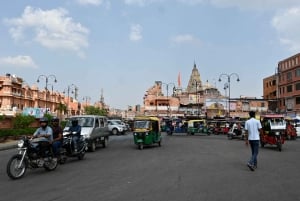 Da Delhi: tour di 8 giorni del Triangolo d'Oro con hotel a 5 stelle