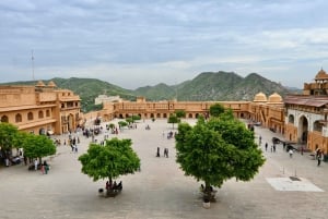 Ab Delhi: 8-tägige Golden Triangle Tour mit 5-Sterne-Hotels