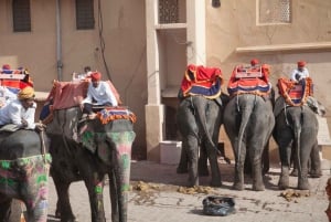 Ab Delhi: 8-tägige Golden Triangle Tour mit 5-Sterne-Hotels