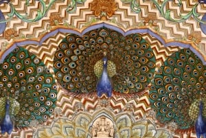 From Delhi: 8 Day Golden Triangle Tour with 5 Star Hotels