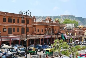 From Delhi: 8 Day Golden Triangle Tour with 5 Star Hotels