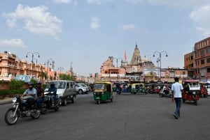 From Delhi: 8 Day Golden Triangle Tour with 5 Star Hotels