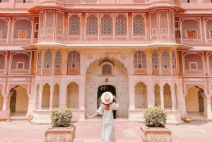 From Delhi/Agra/jaipur: Private Sightseeing Tour of jaipur
