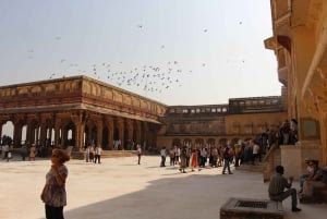 Da Delhi: tour di Jaipur in auto con tutto incluso in un giorno