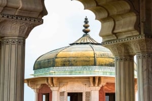 Depuis Delhi : visite du Taj Mahal tout compris avec déjeuner