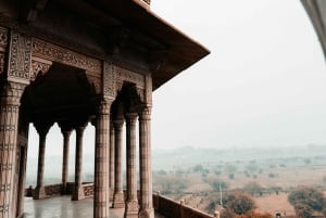 Från Delhi: Delhi-Agra-Jaipur-tur för ensamstående kvinnliga resenärer