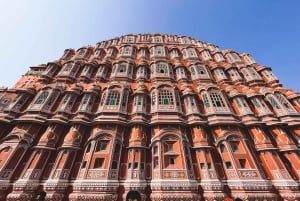 Från Delhi: Delhi-Agra-Jaipur-tur för ensamstående kvinnliga resenärer