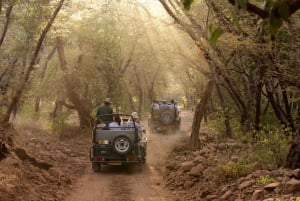 From Delhi: Delhi Ranthambore 3 Days private Tour