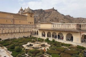 From Delhi: Full-Day Private Sightseeing Tour of Jaipur