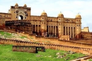 Desde Delhi: Excursión de un día a Jaipur con entradas