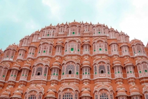 Depuis Delhi : excursion d'une journée à Jaipur avec billets d'entrée