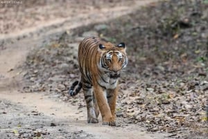Triangolo d'Oro: tour di più giorni con Varanasi da Delhi