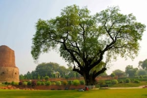 Triangolo d'Oro: tour di più giorni con Varanasi da Delhi