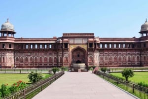 Da Delhi: viaggio di più giorni nel Triangolo d'Oro con safari tra le tigri