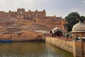 Da Delhi: viaggio di più giorni nel Triangolo d'Oro con safari tra le tigri