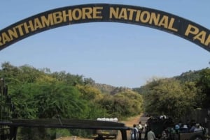 Da Delhi: viaggio di più giorni nel Triangolo d'Oro con safari tra le tigri