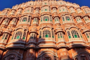 Da Delhi: viaggio di più giorni nel Triangolo d'Oro con safari tra le tigri