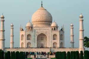 Ab Delhi: Mehrtägige Tour zum Goldenen Dreieck mit Tiger-Safari