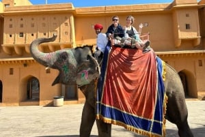 Von Delhi: Goldenes Dreieck & Ranthambore Tiger Safari 4 Tage