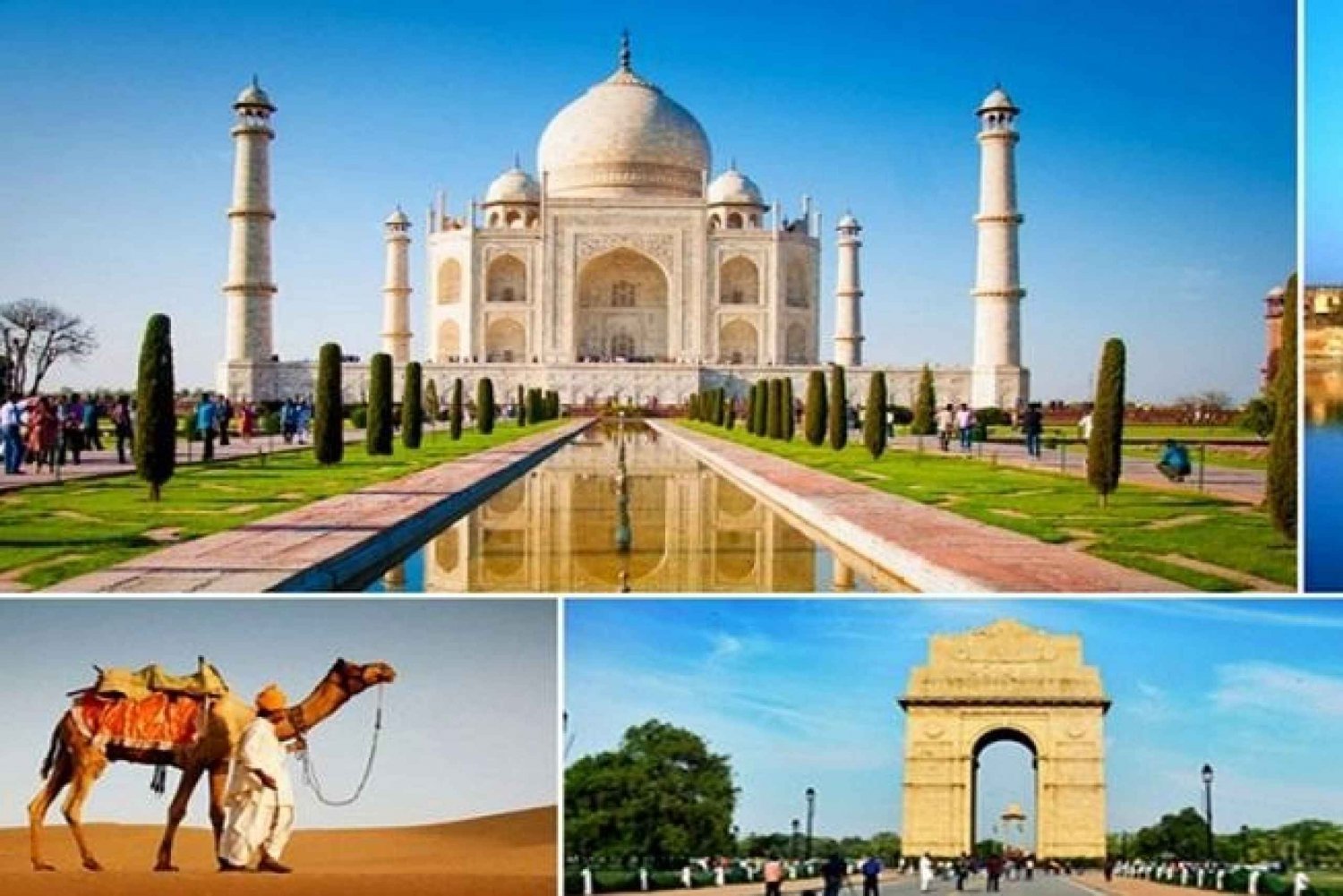 Da Delhi : Tour dell'India per 7 giorni