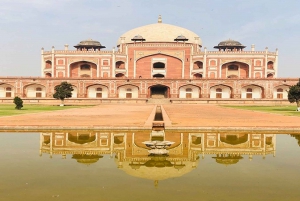 Fra Delhi: Indias mest berømte gyldne triangel-tur