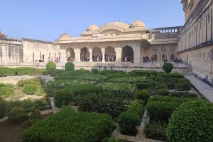 Vanuit Delhi: Jaipur dagtour per supersnelle trein