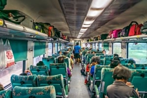 Från Delhi: Jaipur dagstur med supersnabbt tåg