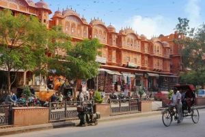 Delhistä: Jaipur Päiväretki pikajunalla tai yksityisautolla