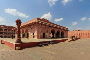 Vanuit Delhi: Jaipur eendaagse rondreis per auto