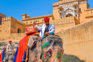 Vanuit Delhi: Jaipur eendaagse rondreis per auto