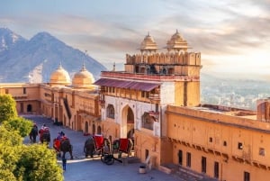 From Delhi: Private Full-Day Jaipur Highlights Tour