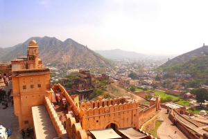 From Delhi : Jaipur Private Day Tour with Lunch