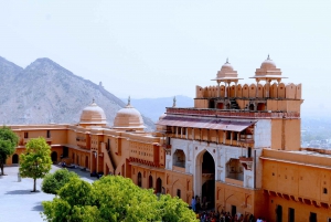 From Delhi: Jaipur Private Day-Trip by Car or Train