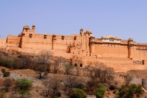 From Delhi: Jaipur Private Day-Trip by Car or Train