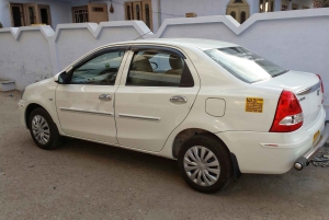 From Delhi: Jaipur Private Day-Trip by Car or Train