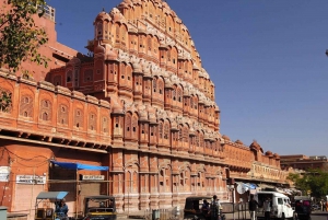 Från Delhi: Jaipur - privat guidad heldagsutflykt i Jaipur