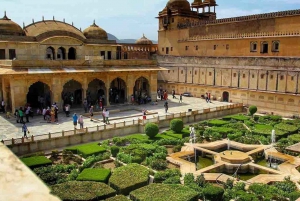 Från Delhi: Jaipur - privat guidad heldagsutflykt i Jaipur