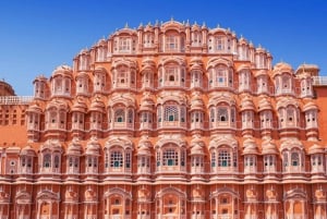 Desde Delhi: Visita guiada privada de un día a Jaipur