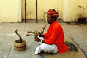 De Deli: Tour particular a Jaipur com guia e serviço de busca no hotel