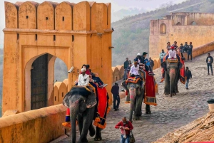 De Deli: Excursão a Jaipur em carro particular ou comboio expresso
