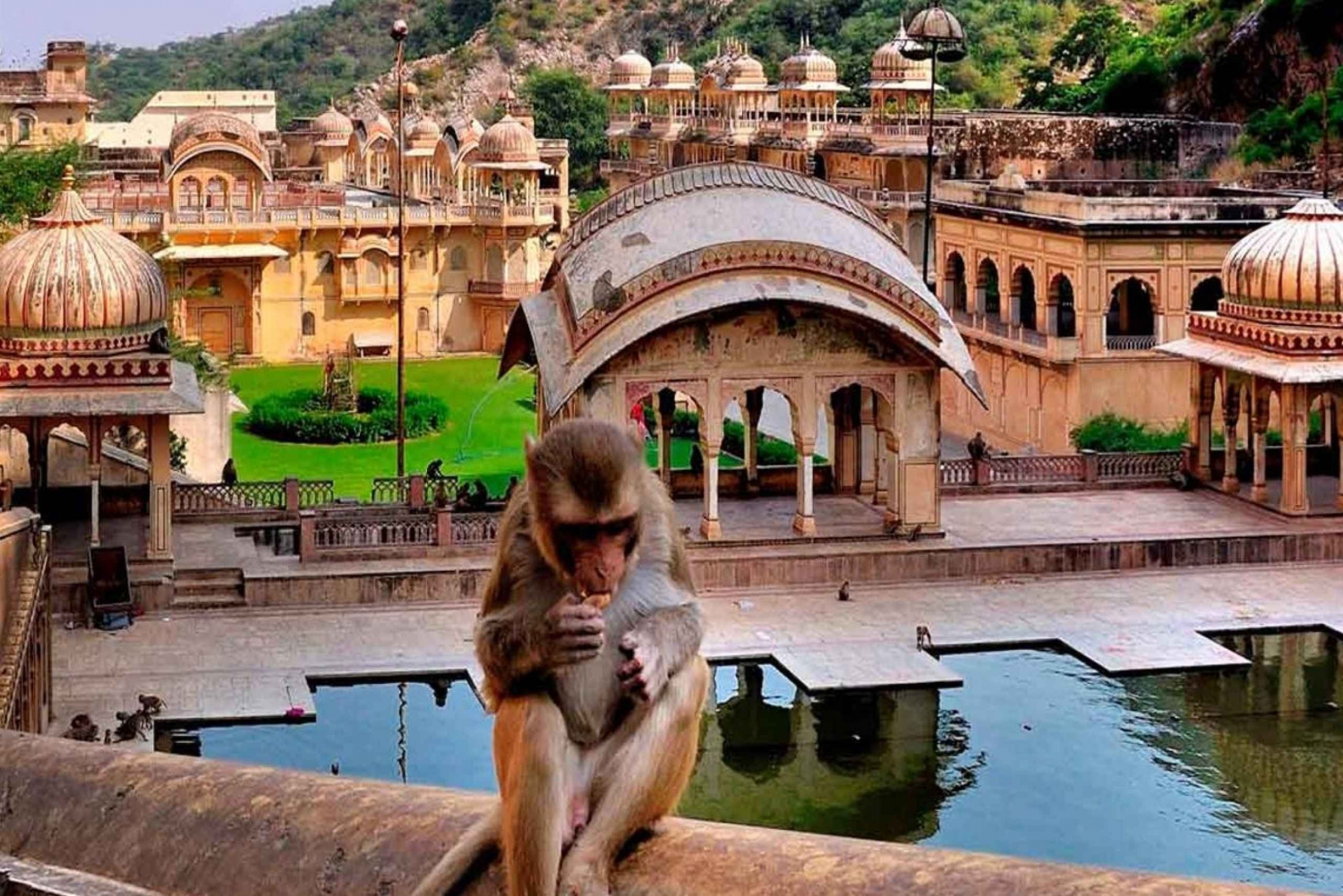 Delhistä : Jaipur kiertoajelu Galta Ji temppelin (apinatemppeli) kanssa.