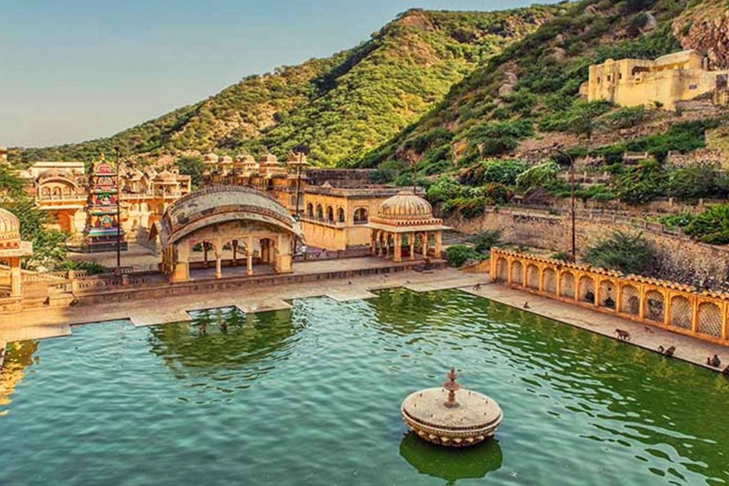 Von Delhi aus: Jaipur Tour mit Galta Ji Tempel (Affentempel)